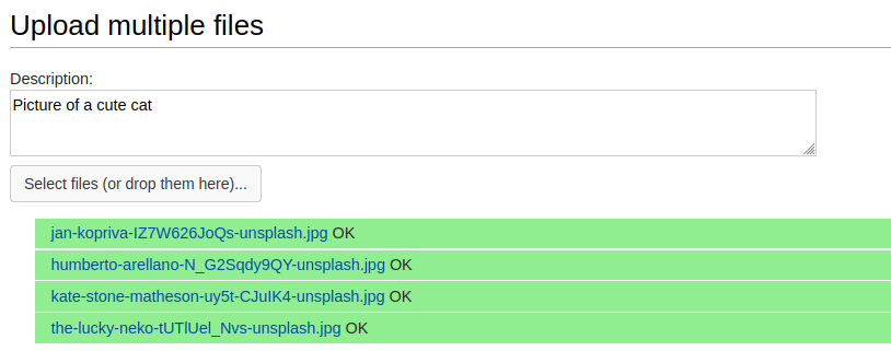 Upload interface showing multiple files having been uploaded